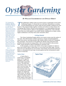 Oyster Gardening - Maryland Sea Grant