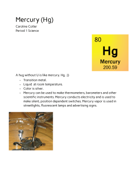 Mercury (Hg) - Northbrook District 28