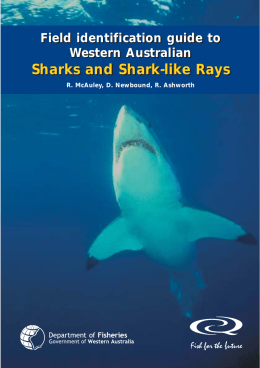 Field identification guide to Western Australian sharks and shark