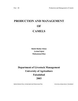 PRODUCTION AND MANAGEMENT OF CAMELS