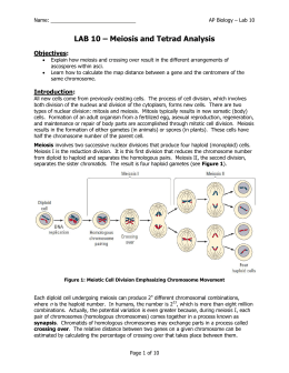 LAB 10 - Meiosis and Tetrad Analysis