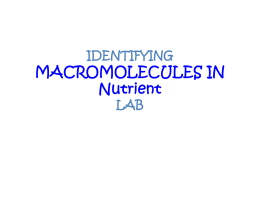 identifying macromolecules in food lab