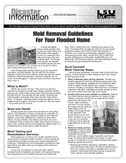 Mold Removal Guidelines For Your Flooded Home