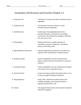 Vocabulary Cell Structure and Function Chapter 3.1
