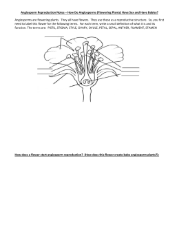 Angiosperm Reproduction Notes – How Do Angiosperms (Flowering