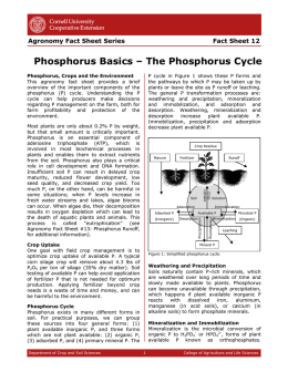 Phosphorus Basics – The Phosphorus Cycle