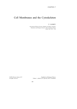 Cell Membranes and the Cytoskeleton
