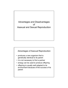 Asexual Reproduction Advantages and Disadvantages