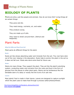 BIOLOGY OF PLANTS