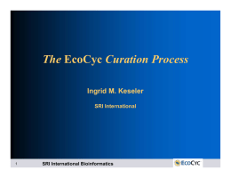 The EcoCyc Curation Process