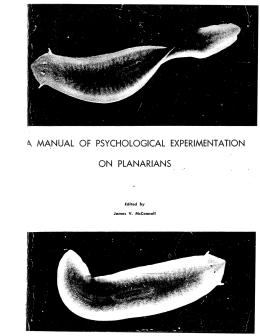 Manual of Experimentation in Planaria