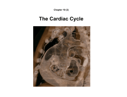 The Cardiac Cycle, Cardiac Output, Cardiac Regulation