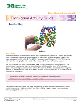 Translation Activity Guide