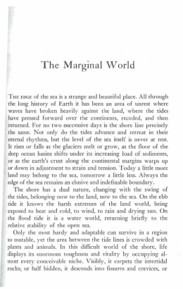 The Marginal World