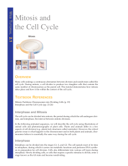 Web Tutorial 2.1: Mitosis and the Cell Cycle