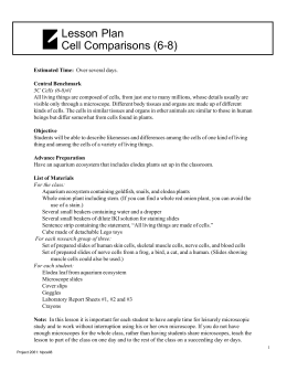 Lesson Plan, Cell Comparison