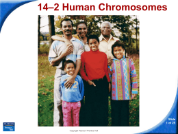 14–2 Human Chromosomes