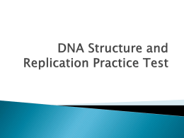 DNA Structure and Replication Practice Test