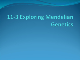 11-3 Exploring Mendelian Genetics