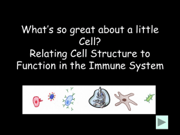 Student Cell Immune - Life Sciences Outreach Program
