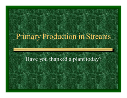 Primary Production in Streams