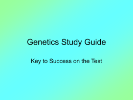 Genetics Study Guide - U