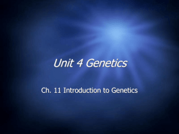 Unit 4 Genetics - Jamestown Public Schools