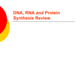 DNA RNA Review - OG