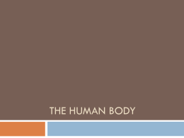 Ch. 35 - Intro to the Human Body and Regulation