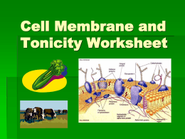 Cell Membrane and Tonicity Worksheet