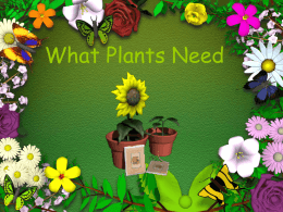 PLANTS - Communication4All