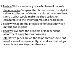 Ch 11 Introduction to Genetics