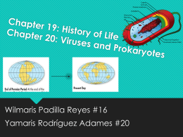 Chapter 19: History of Life Chapter 20: Viruses and Prokaryotes