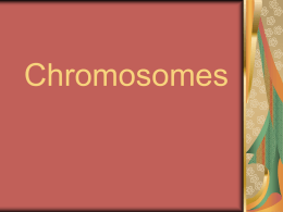 Chromosomes - ISGROeducation