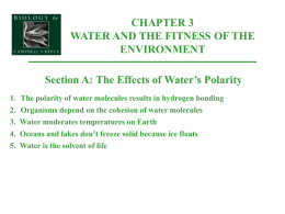 1. The polarity of water molecules results from hydrogen bonding