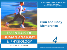 Chapter 4 Skin and Body Membranes