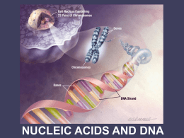 nucleic acids and dna