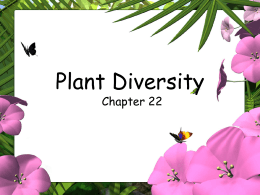 Chapter 22 Plant Diversity