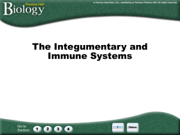 skin and immune system ppt
