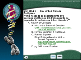 Sex Chromosomes - NC Biology Resources