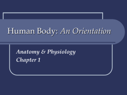Human Body: An Orientation