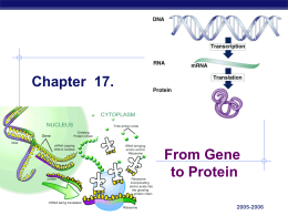Ch_17 From Gene to Protein