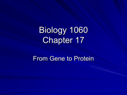 Biology 1060 Chapter 17