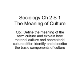 Sociology Ch 2 S 1 The Meaning of Culture