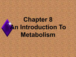 An Introduction To Metabolism