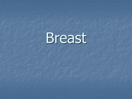 Breast - Surgery