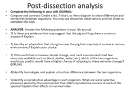 Post-dissection analysis