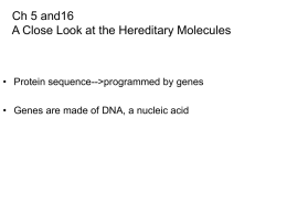 Nucleic acids store and transmit hereditary information