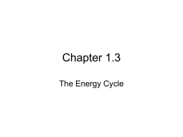 Chapter 1.3 The Energy Cycle
