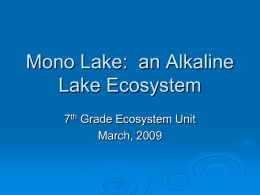 Mono Lake - atfortunato